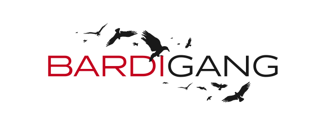 Join the BARDIGANG channel